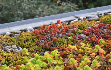 the cost of Croxtonbank green roof installation