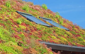Croxtonbank living roof systems